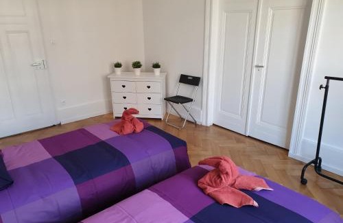 Poincare Apartment | STRASBOURG CENTRE le 85, Superbe F5, 125m2, 5 Pièces