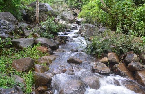 Kottappadi part House | Stream Garden Mountain Resort