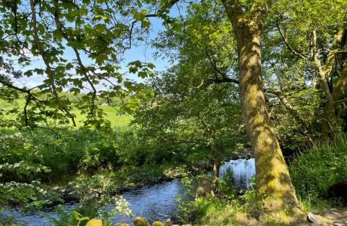 Hazelhead Other | Stream Side Shepherds Hut