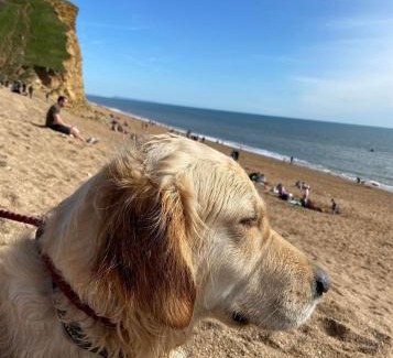 Bridport Ski Chalet | Strongate Orchard Farm stay Bridport Dorset- Jurassic Coast 10 min drive