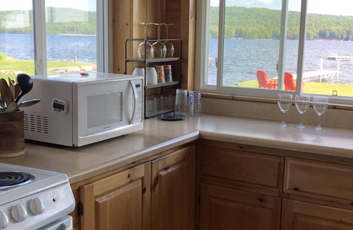Old Forge House | Stu's Viewz - Best View on 4th Lake, Amazing Shallow Sandy Swimming