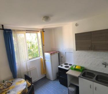 Kragujevac Apartment | Student den