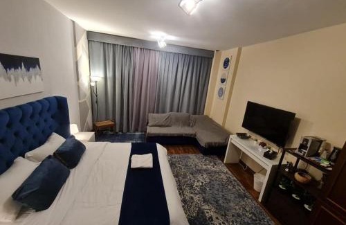 Bay La Sun Apartment | studio marina