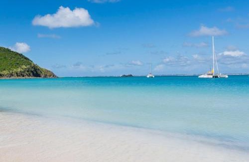 Anse Marcel Apartment | Studio à Anse Marcel avec Air Conditionné et Parking - FR-1-734-52