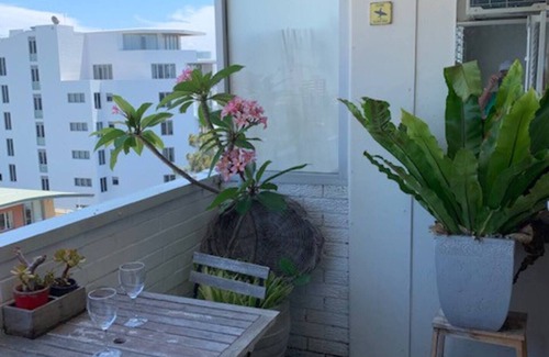 Bondi Apartment | Studio 10 Bondi, roof top pool, walk to beach, air con, restaurants 2 mins