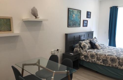 Puerto Aventuras Apartment | STUDIO 102 Puerto Aventuras private complex with swimming pool