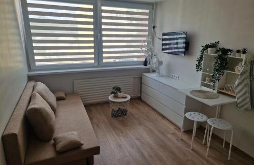 Druskininkai Apartment | Studio 11