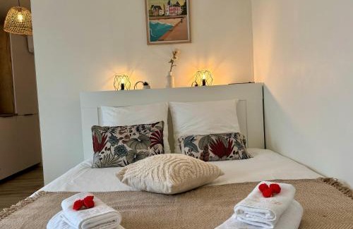 Larmor-Plage Apartment | Studio 350m Des Plages