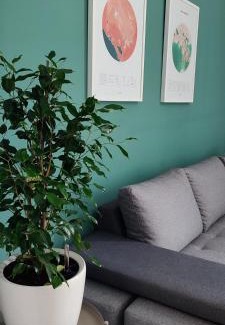 Donje Polje Apartment | Studio 357 Cetinje