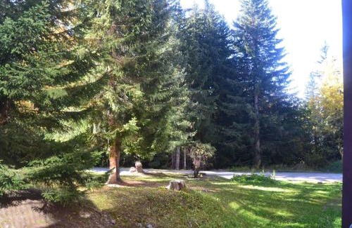 Arc-1800 Apartment | Studio 4 pers, proche pistes et commerces, balcon S-O, cœur village Charvet, animaux admis, wifi - FR-1-411-503