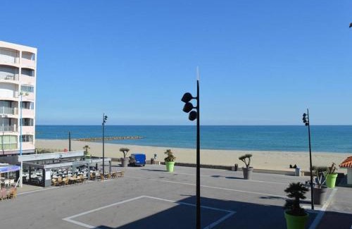 Saint-Cyprien Plage Apartment | Studio 4 personnes proche plage, animaux admis, Saint-Cyprien - FR-1-225D-2