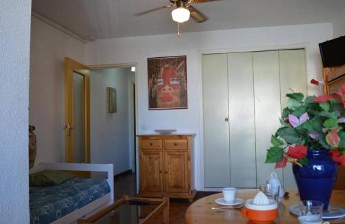 Saint-Cyprien Plage Apartment | Studio 4 personnes proche plage, animaux admis, Saint-Cyprien - FR-1-225D-2