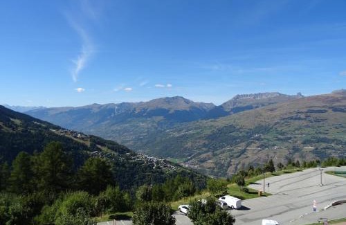 Vallandry Apartment | Studio 4 personnes à Vallandry, proche pistes et commerces, animaux acceptés - FR-1-411-180