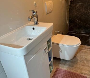 Mali Radic House | Studio apartman Cuprija