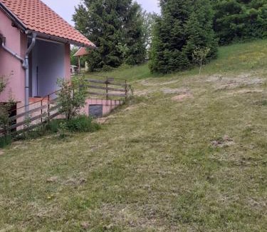 Bajina Basta Apartment | Studio apartman jelena