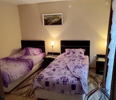 Gornja Trepca Apartment | Studio apartmani Čanović