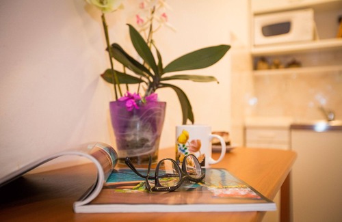 Mlini Apartment | Studio Apartment Andrijana