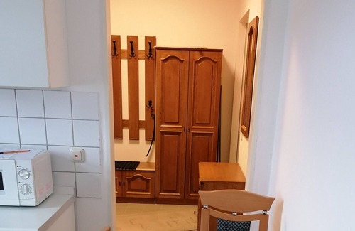 Baerenstein Apartment | Studio Apartment "Am Bärenstein im Oberen Erzgebirge" with Mountain View & Wi-Fi