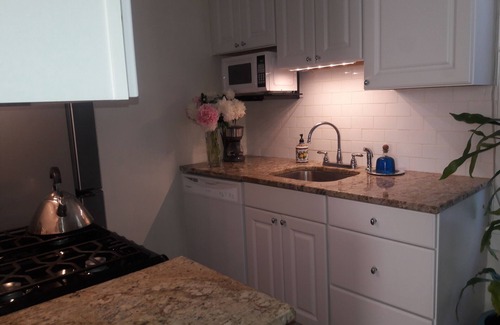 Seneca Falls House | Studio apartment in historic home with garden and water views walk to town