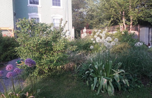 Seneca Falls House | Studio apartment in historic home with garden and water views walk to town