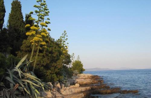 Sucuraj Apartment | Studio apartment in Sucuraj with sea view, balcony, air conditioning, WiFi 3560-4