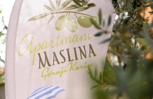 Gornji Karin Apartment | Studio Apartment Maslina