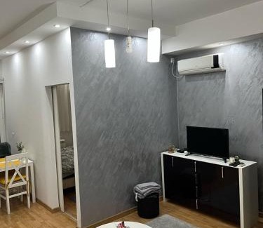 Vozdovac Apartment | Studio apartment near the city center
