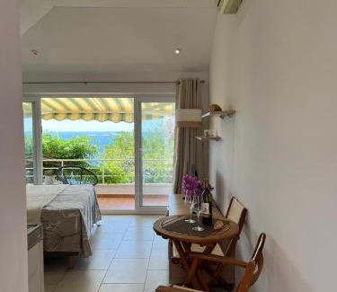 Zupa dubrovacka Apartment | Studio apartment SOL