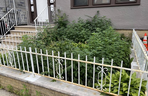 North Bergen Apartment | Studio at North Bergen close to NYC and mass transportation
