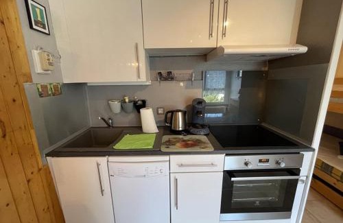 Laveissiere Apartment | Studio au pied des pistes avec Wifi, idéal pour 4 personnes, proche commerces et patinoire - FR-1-787-63
