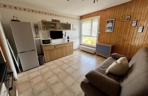 Laveissiere Apartment | Studio au pied des pistes avec Wifi, idéal pour 4 personnes, proche commerces et patinoire - FR-1-787-63