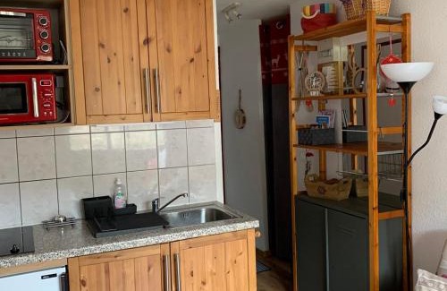 Les Menuires Apartment | Studio avec Cabine aux Pieds des Pistes, Animaux Admis - FR-1-574-27