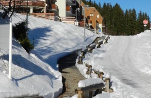 Le Pleynet Apartment | Studio cabine à 100m des pistes - Balcon - Casier à skis - FR-1-557A-6