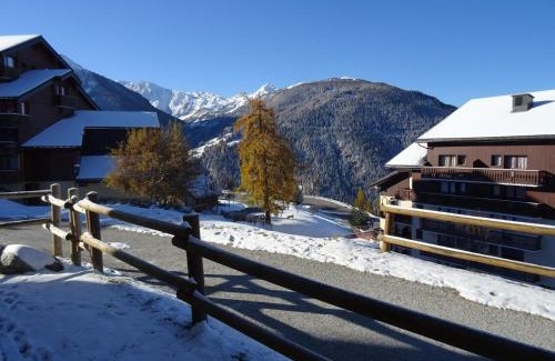 Vallandry Apartment | Studio cabine 4 pers à Vallandry, terrasses sud/ouest, proche pistes et commerces - FR-1-411-137