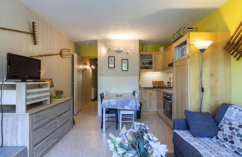 Eaux-Bonnes Apartment | Studio cabine 6 pers, proche pistes, balcon, animaux admis, parking - FR-1-400-38