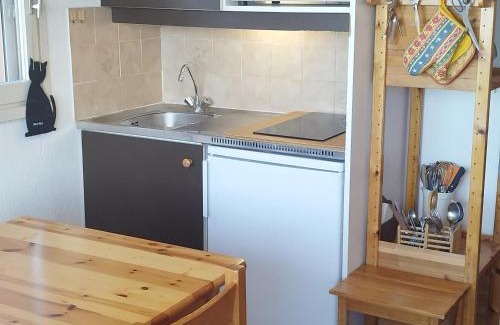 Prapoutel Apartment | Studio Cabine au Calme, Proche des Pistes et du Centre, Balcon, TV - FR-1-771-68