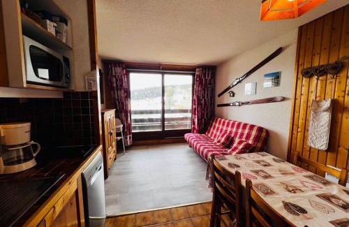 Les Saisies Apartment | Studio cabine cosy aux Saisies, sud, 4 pers, skis aux pieds, proche ESF, tout équipé - FR-1-293-169