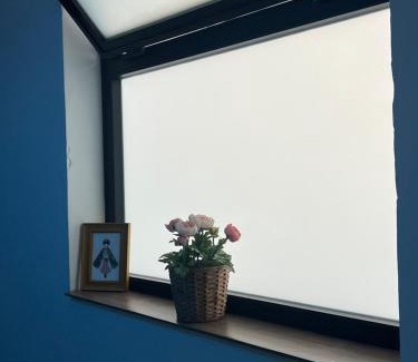 San Andres Apartment | Studio Casa Azul