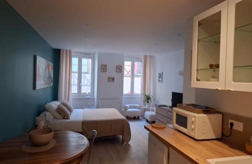Macon Apartment | Studio centre Macon place aux herbes