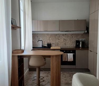 Le Piol Apartment | Studio Centre-Ville Nice