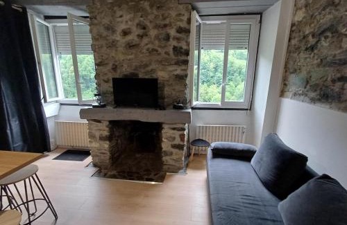Eaux-Bonnes Apartment | Studio chaleureux