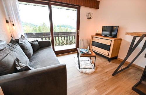 Combloux Apartment | Studio Classified All Comfort View On Aravis