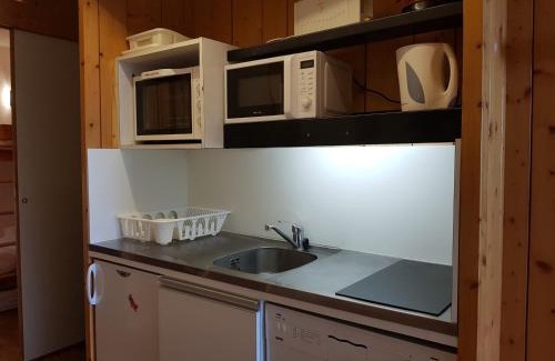 Arc-1600 Apartment | Studio coin montagne 5 pers, proche pistes et commerces, avec terrasse exposée Sud - FR-1-411-36