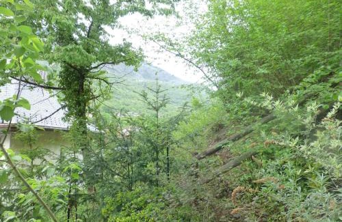 Brides-les-Bains Apartment | Studio cosy proche télécabine et thermes, balcon ombragé, wifi inclus, animaux acceptés - FR-1-512-125