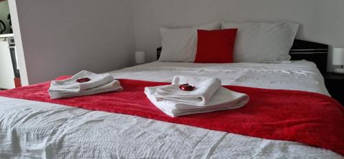 Tirgu Mures Apartment | Studio Elegance