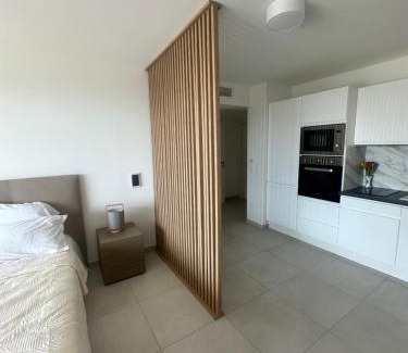 Saint-Laurent-du-Var Apartment | Studio en bord de mer avec piscine sur le toit