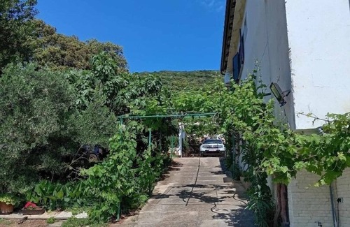 Martinscica Apartment | Studio flat near beach Martinšćica, Cres (AS-23980-b)