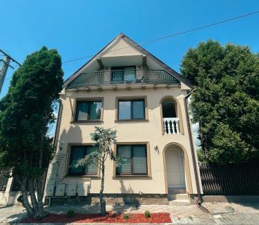 Tirgu Mures Apartment | Studio Glen