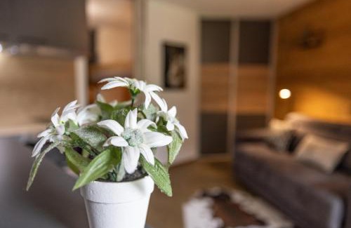 Les Contamines-Montjoie Apartment | Studio haut de gamme Contamines