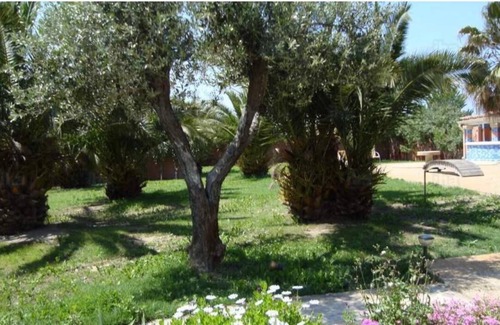 Fourques Apartment | Studio in a farmhouse with large swimming pool, palm trees, bridges, fountains